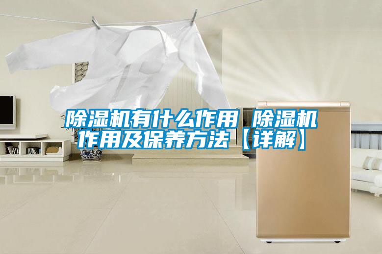除濕機有什么作用 除濕機作用及保養(yǎng)方法【詳解】