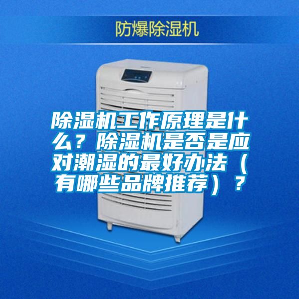 除濕機工作原理是什么？除濕機是否是應(yīng)對潮濕的最好辦法（有哪些品牌推薦）？