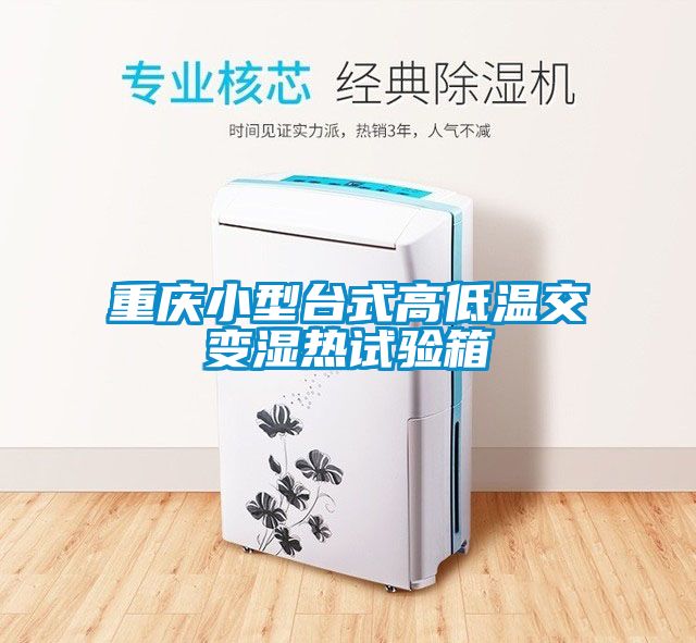 重慶小型臺(tái)式高低溫交變濕熱試驗(yàn)箱