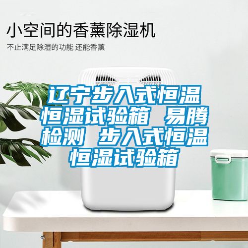 遼寧步入式恒溫恒濕試驗(yàn)箱 易騰檢測(cè) 步入式恒溫恒濕試驗(yàn)箱