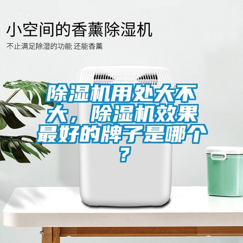 除濕機用處大不大，除濕機效果最好的牌子是哪個？