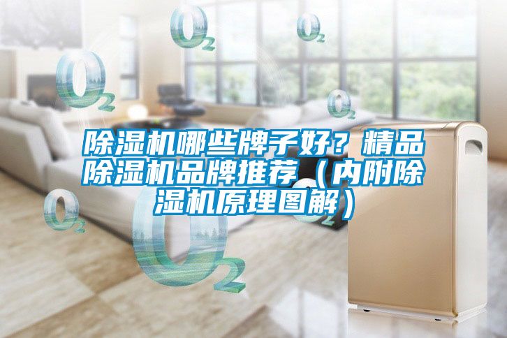 除濕機(jī)哪些牌子好？精品除濕機(jī)品牌推薦（內(nèi)附除濕機(jī)原理圖解）
