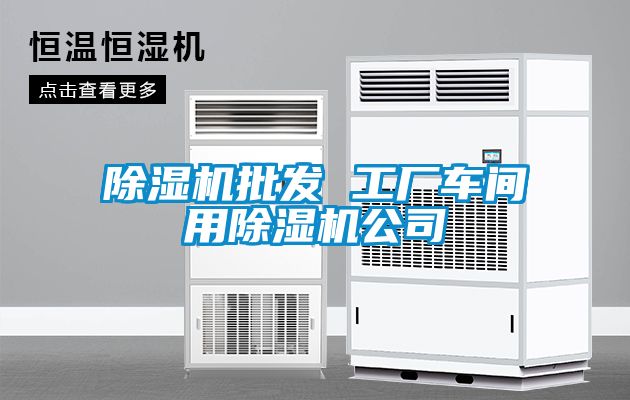 除濕機(jī)批發(fā) 工廠車間用除濕機(jī)公司