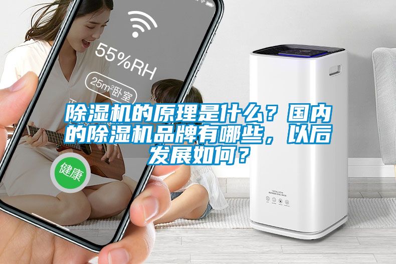除濕機(jī)的原理是什么？國內(nèi)的除濕機(jī)品牌有哪些，以后發(fā)展如何？
