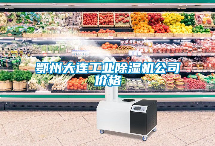 鄂州大連工業(yè)除濕機(jī)公司價格