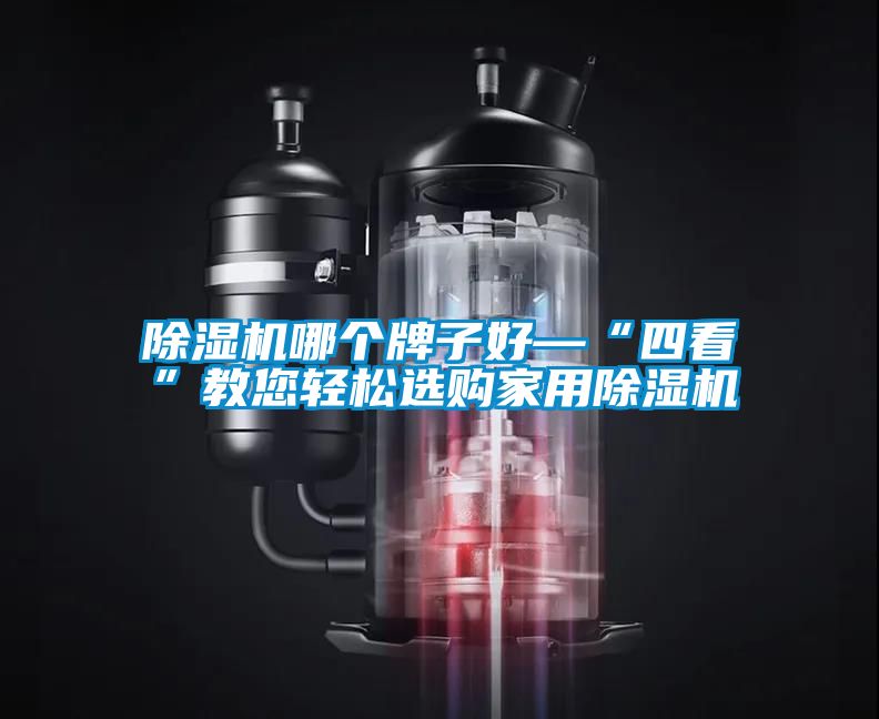 除濕機(jī)哪個(gè)牌子好—“四看”教您輕松選購(gòu)家用除濕機(jī)
