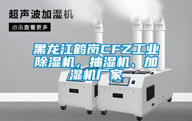 黑龍江鶴崗CFZ工業(yè)除濕機，抽濕機、加濕機廠家
