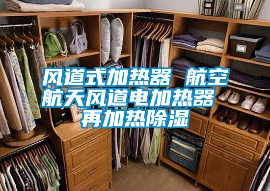風(fēng)道式加熱器 航空航天風(fēng)道電加熱器 再加熱除濕