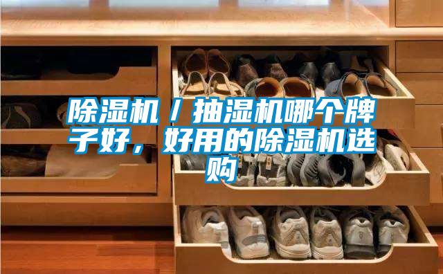 除濕機(jī)／抽濕機(jī)哪個(gè)牌子好，好用的除濕機(jī)選購