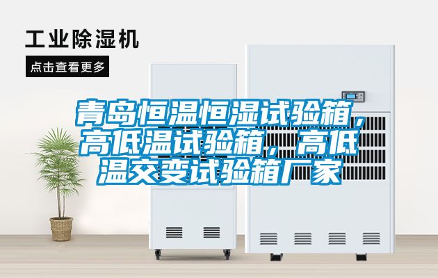 青島恒溫恒濕試驗箱，高低溫試驗箱，高低溫交變試驗箱廠家
