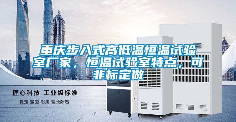 重慶步入式高低溫恒溫試驗(yàn)室廠家，恒溫試驗(yàn)室特點(diǎn)，可非標(biāo)定做