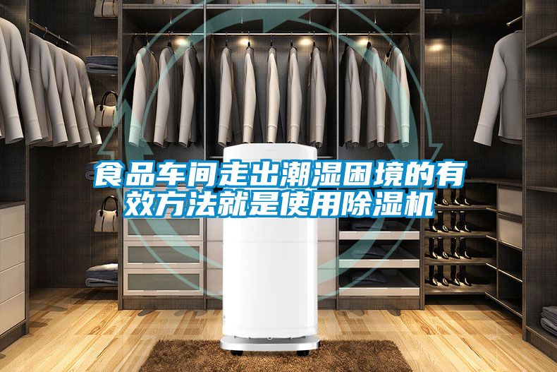 食品車間走出潮濕困境的有效方法就是使用除濕機(jī)