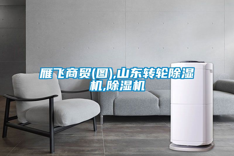 雁飛商貿(mào)(圖),山東轉(zhuǎn)輪除濕機,除濕機
