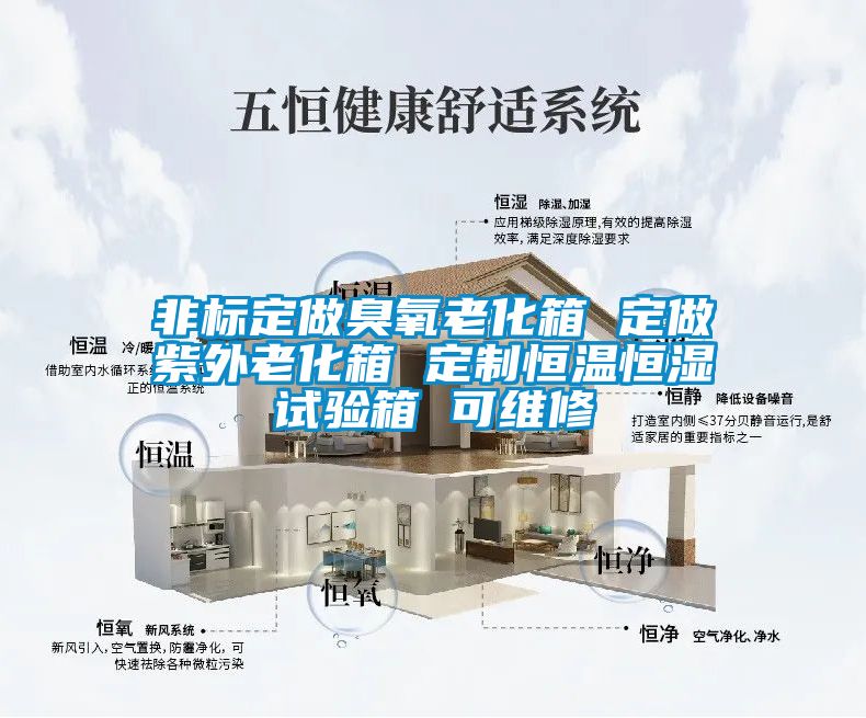 非標定做臭氧老化箱 定做紫外老化箱 定制恒溫恒濕試驗箱 可維修