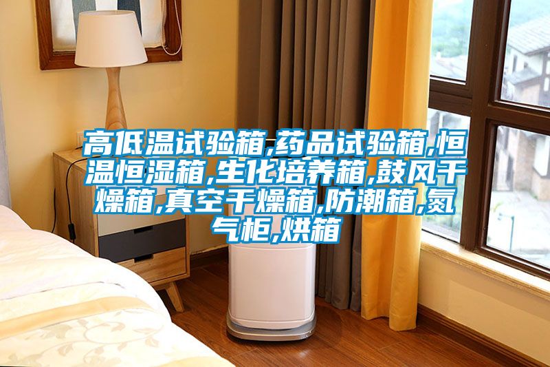 高低溫試驗(yàn)箱,藥品試驗(yàn)箱,恒溫恒濕箱,生化培養(yǎng)箱,鼓風(fēng)干燥箱,真空干燥箱,防潮箱,氮?dú)夤?烘箱