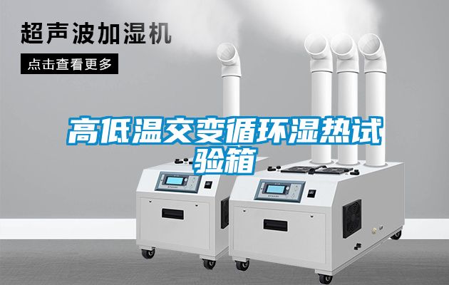 高低溫交變循環(huán)濕熱試驗(yàn)箱