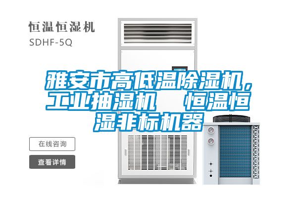 雅安市高低溫除濕機，工業(yè)抽濕機  恒溫恒濕非標(biāo)機器
