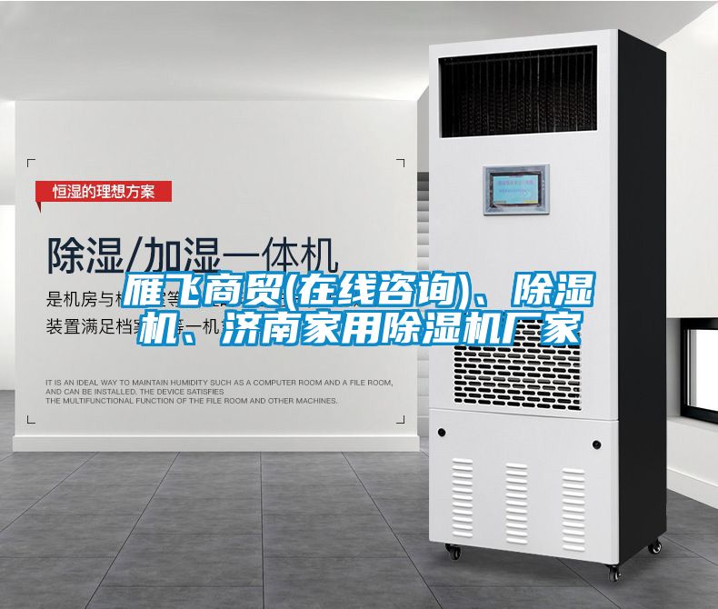 雁飛商貿(mào)(在線咨詢)、除濕機(jī)、濟(jì)南家用除濕機(jī)廠家
