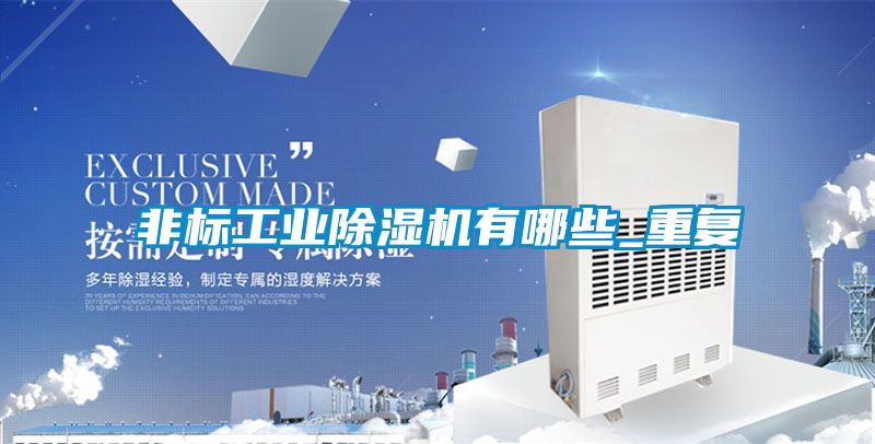 非標(biāo)工業(yè)除濕機(jī)有哪些_重復(fù)