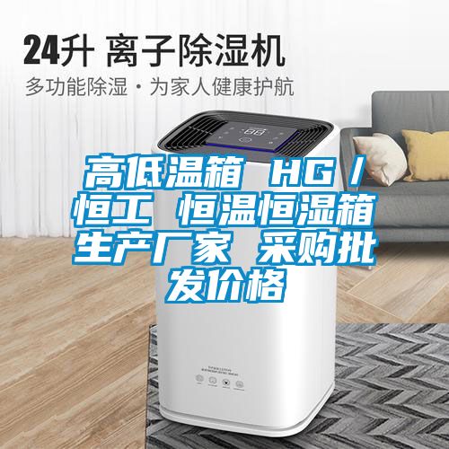 高低溫箱 HG／恒工 恒溫恒濕箱生產(chǎn)廠家 采購批發(fā)價格