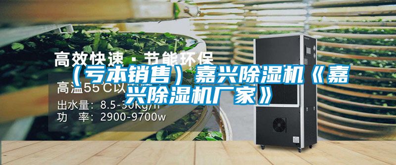 （虧本銷售）嘉興除濕機(jī)《嘉興除濕機(jī)廠家》