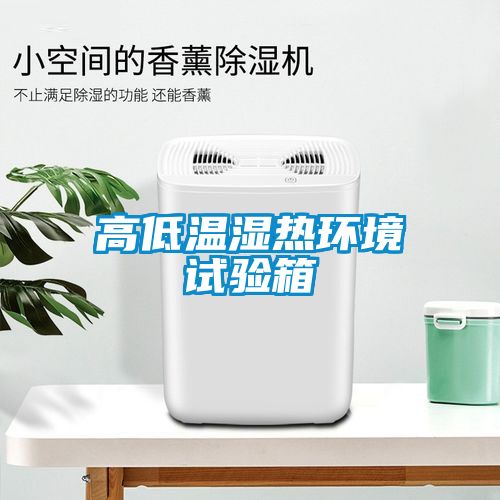 高低溫濕熱環(huán)境試驗箱