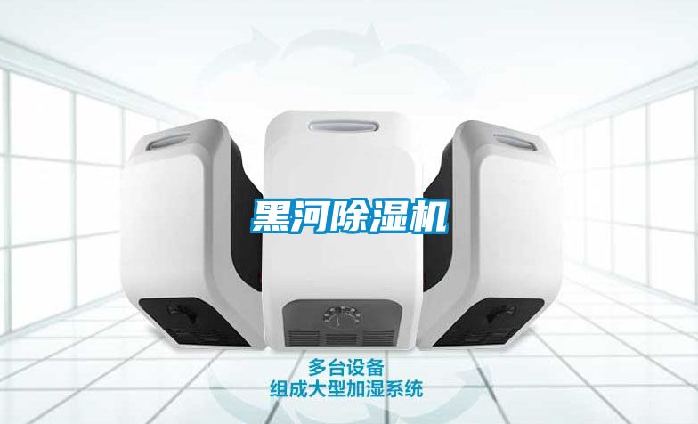 黑河除濕機(jī)