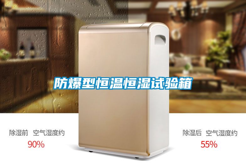 防爆型恒溫恒濕試驗箱