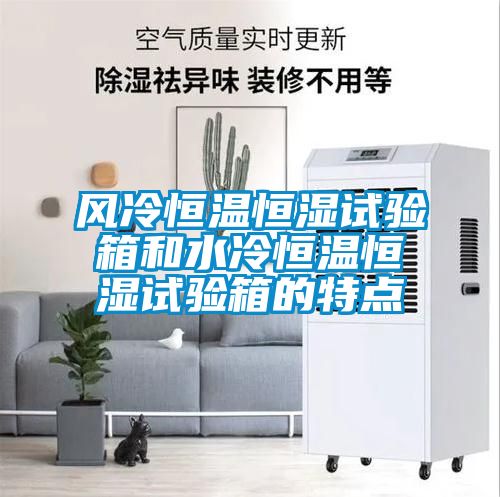 風(fēng)冷恒溫恒濕試驗(yàn)箱和水冷恒溫恒濕試驗(yàn)箱的特點(diǎn)