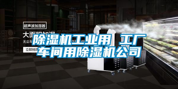 除濕機(jī)工業(yè)用 工廠車間用除濕機(jī)公司