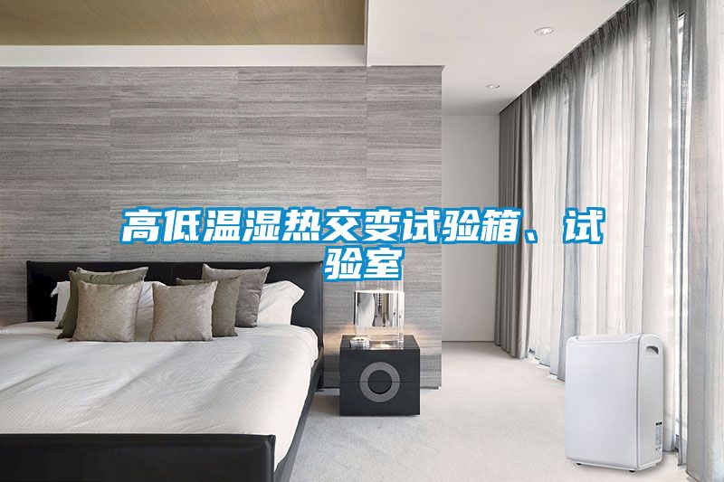 高低溫濕熱交變試驗(yàn)箱、試驗(yàn)室
