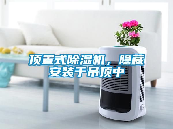 頂置式除濕機(jī)，隱藏安裝于吊頂中