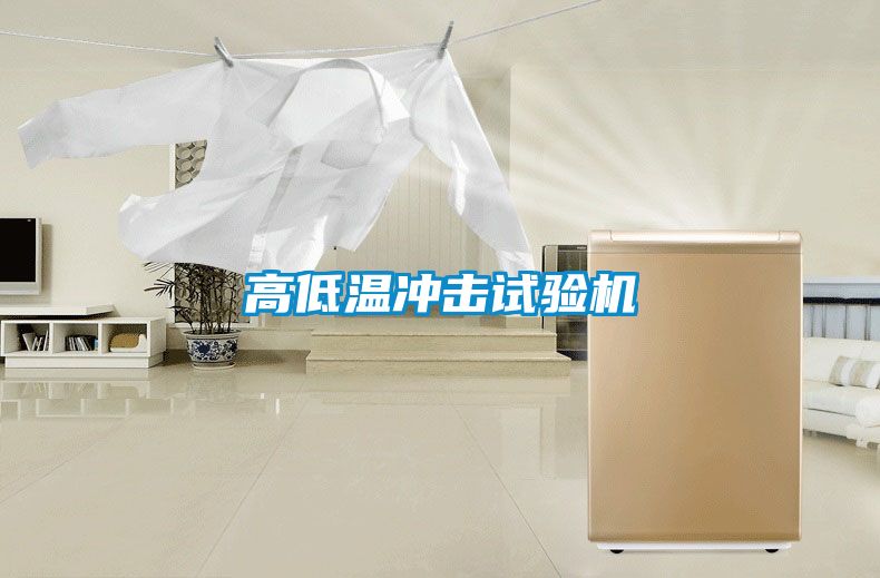 高低溫沖擊試驗機(jī)