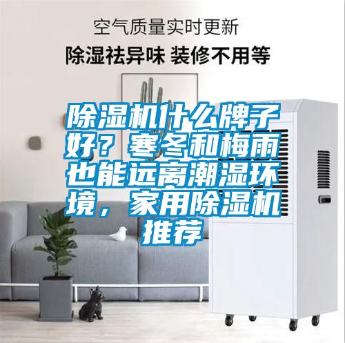 除濕機什么牌子好？寒冬和梅雨也能遠(yuǎn)離潮濕環(huán)境，家用除濕機推薦