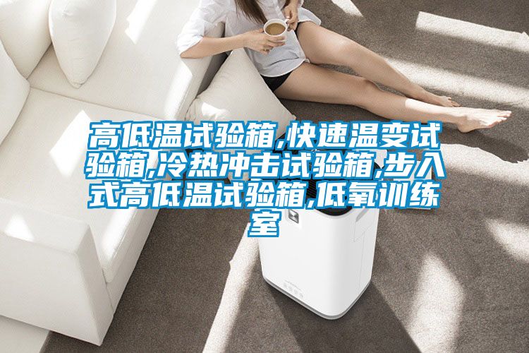 高低溫試驗(yàn)箱,快速溫變?cè)囼?yàn)箱,冷熱沖擊試驗(yàn)箱,步入式高低溫試驗(yàn)箱,低氧訓(xùn)練室