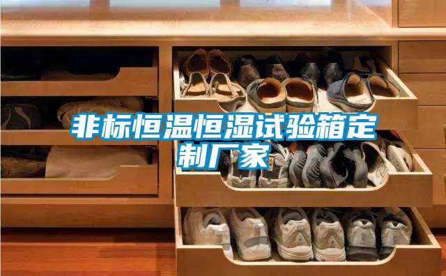 非標(biāo)恒溫恒濕試驗(yàn)箱定制廠家