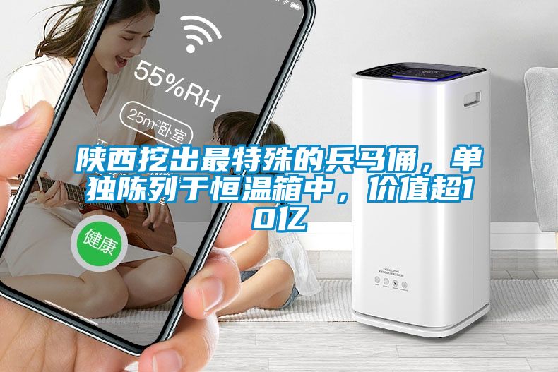 陜西挖出最特殊的兵馬俑，單獨(dú)陳列于恒溫箱中，價(jià)值超10億