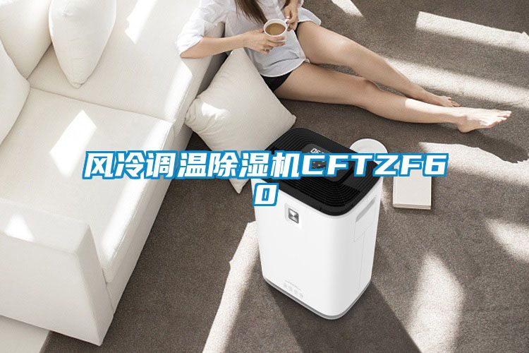 風冷調(diào)溫除濕機CFTZF60