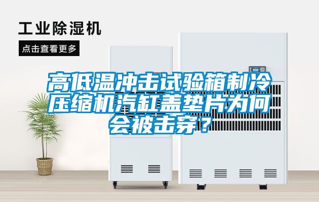 高低溫沖擊試驗箱制冷壓縮機汽缸蓋墊片為何會被擊穿？
