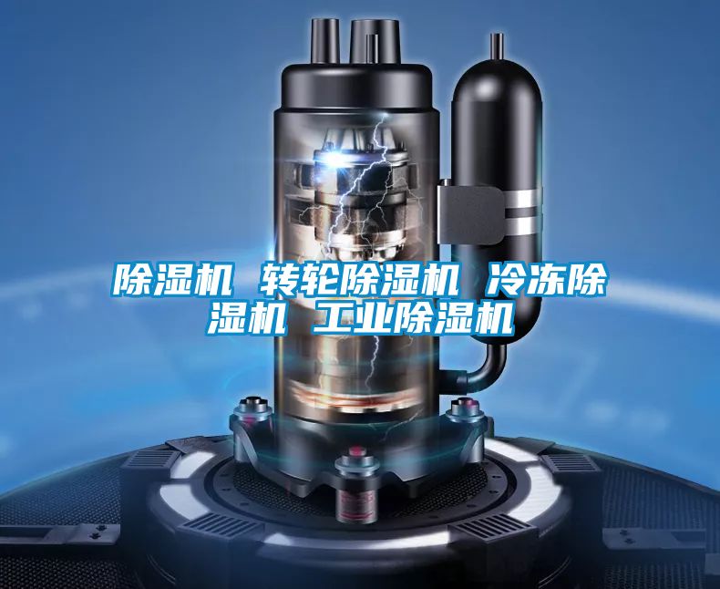 除濕機 轉(zhuǎn)輪除濕機 冷凍除濕機 工業(yè)除濕機
