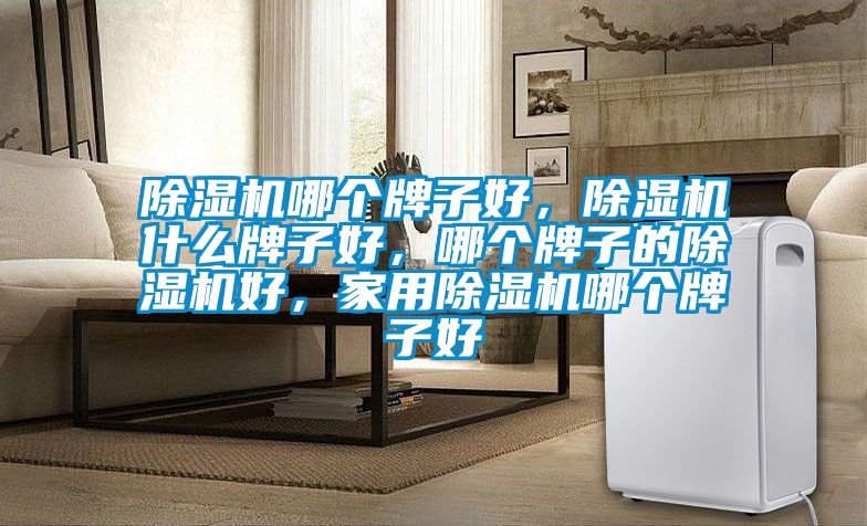 除濕機哪個牌子好，除濕機什么牌子好，哪個牌子的除濕機好，家用除濕機哪個牌子好