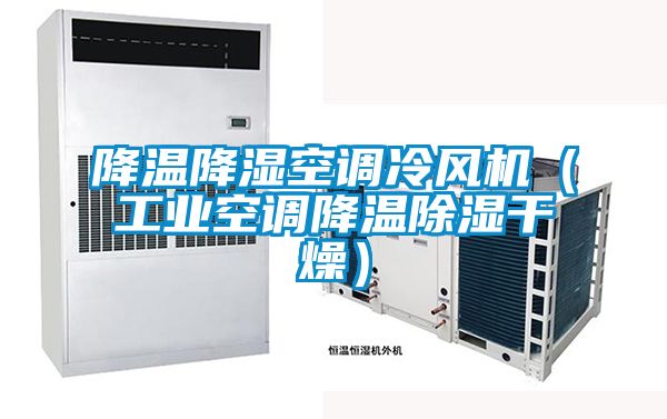 降溫降濕空調冷風機（工業(yè)空調降溫除濕干燥）