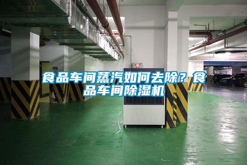 食品車間蒸汽如何去除？食品車間除濕機