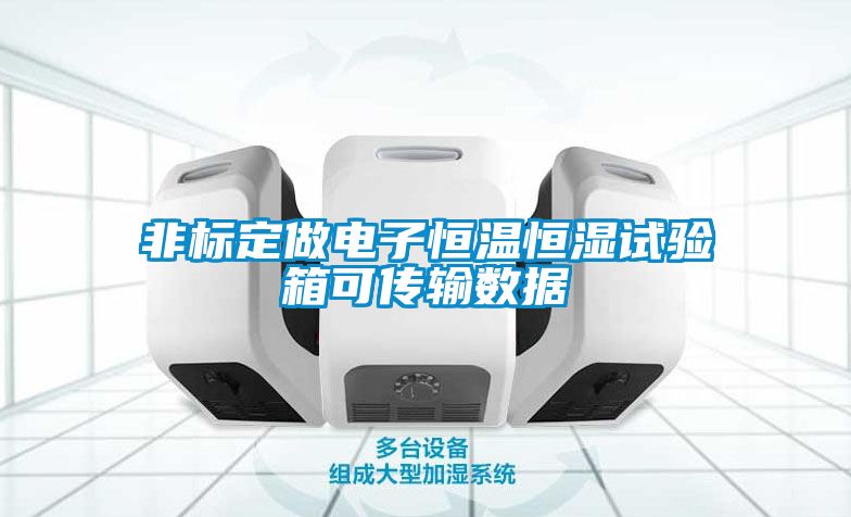 非標(biāo)定做電子恒溫恒濕試驗(yàn)箱可傳輸數(shù)據(jù)