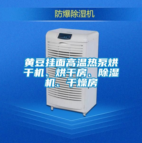 黃豆掛面高溫?zé)岜煤娓蓹C(jī)、烘干房、除濕機(jī)、干燥房