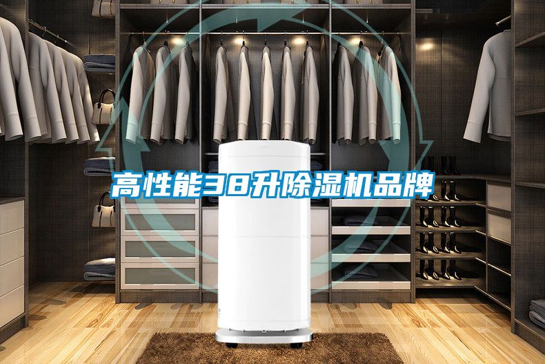 高性能38升除濕機(jī)品牌