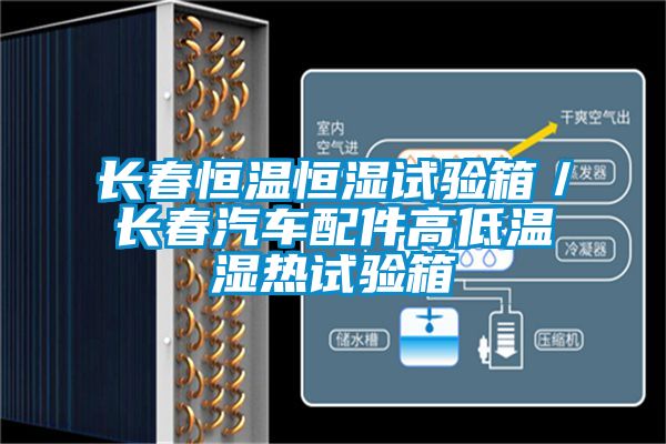 長春恒溫恒濕試驗(yàn)箱／長春汽車配件高低溫濕熱試驗(yàn)箱
