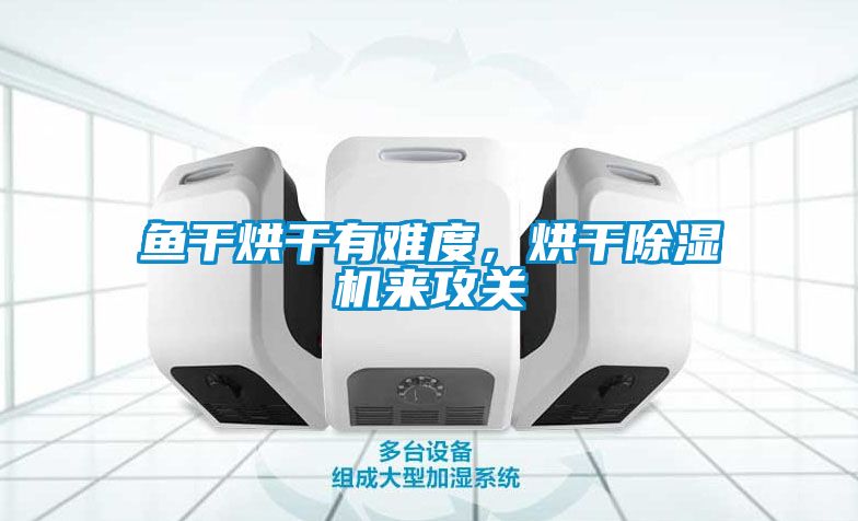 魚(yú)干烘干有難度，烘干除濕機(jī)來(lái)攻關(guān)