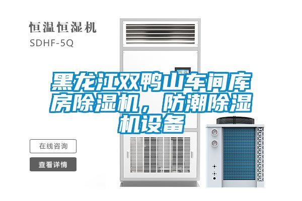 黑龍江雙鴨山車間庫(kù)房除濕機(jī)，防潮除濕機(jī)設(shè)備