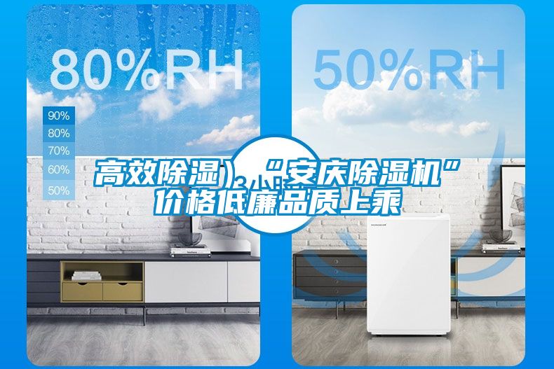 高效除濕）“安慶除濕機”價格低廉品質(zhì)上乘
